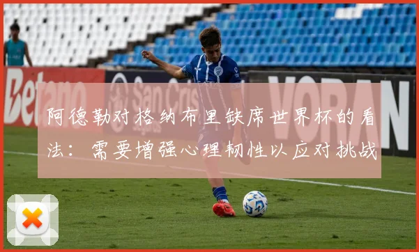 阿德勒对格纳布里缺席世界杯的看法：需要增强心理韧性以应对挑战